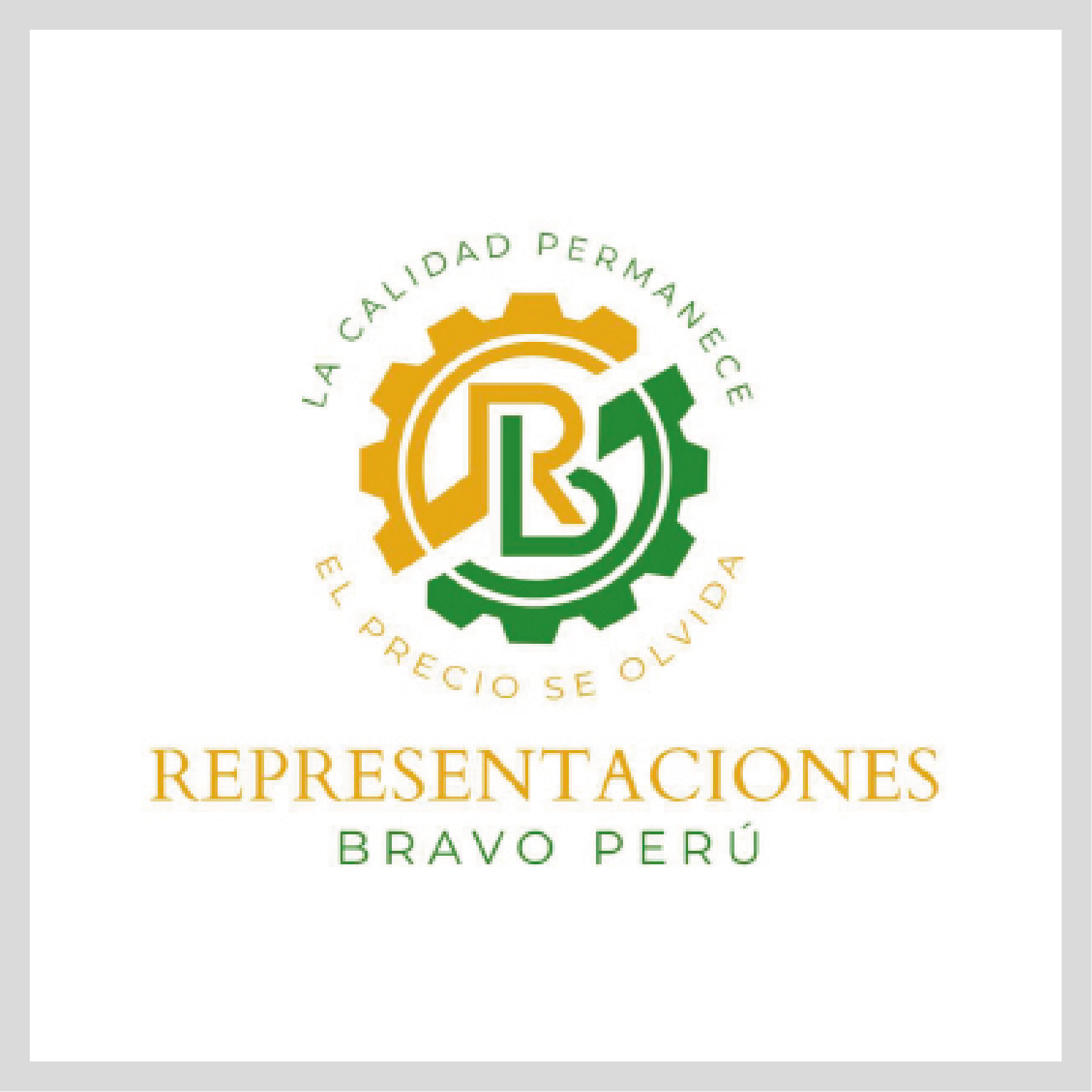 REPRESENTACIONES BRAVO PERÚ